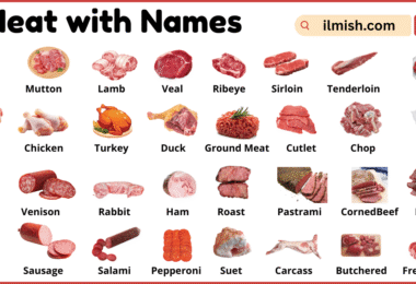 List of Meat with Names and Types in English with Pictures