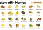 List of Melon with Names and Types in English with Pictures