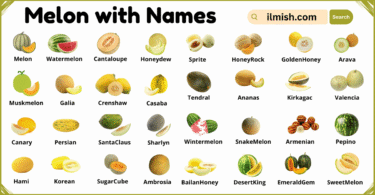 List of Melon with Names and Types in English with Pictures