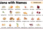 List of Onions with Names and Types in English with Pictures