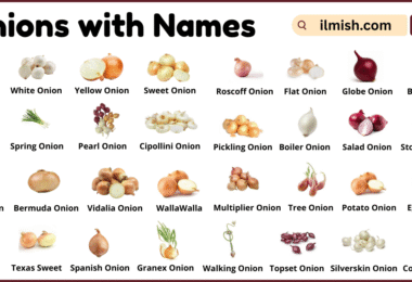 List of Onions with Names and Types in English with Pictures