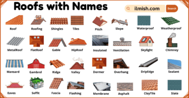 List of Roofs with Names and Types in English with Pictures