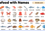 List of Seafood with Names and Types in English with Pictures