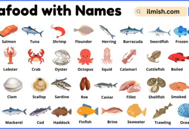 List of Seafood with Names and Types in English with Pictures