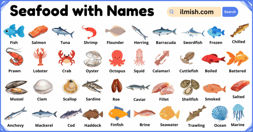 List of Seafood with Names and Types in English with Pictures