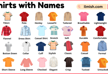 List of Shirts with Names and Types in English with Pictures