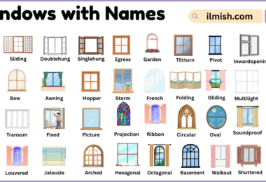 List of Windows with Names and Types in English with Pictures