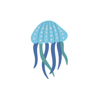 Marine | Seafood with Names and Types