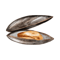 Mussel