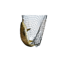 Netting | Seafood with Names and Types