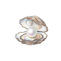 Oyster | Seafood with Names and Types