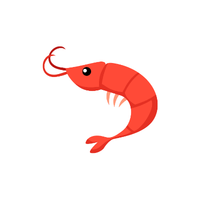 Shrimp