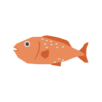 Smoked | Seafood with Names and Types