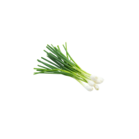 SpringOnion | Onions with Names and Types