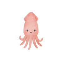 Squid | Seafood with Names and Types