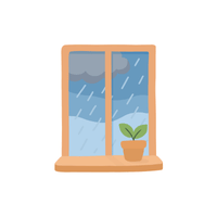 Storm | Windows with Names and Types