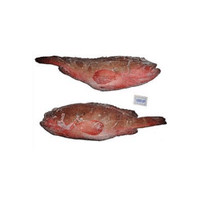 Tender | Seafood with Names and Types