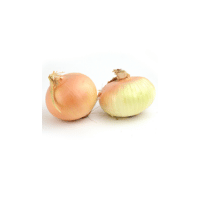 TexasSweetOnion | Onions with Names and Types