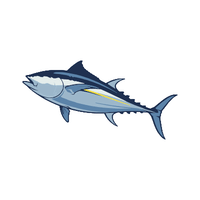 Tuna | Seafood with Names and Types