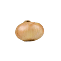 VidaliaOnion | Onions with Names and Types