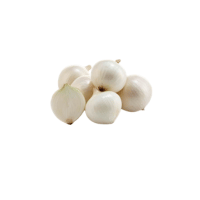 WhiteOnion | Onions with Names and Types